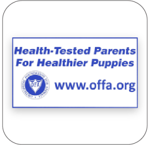 Health Tested Puppies Logo